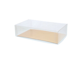 PVC doos en deksel 15 x 9 x 4 cm met goudkarton            Z96