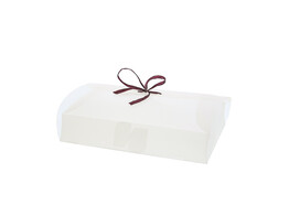 Gift box  220 x 170 x 40 frosty