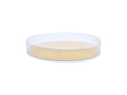 Cello oval box B   Z107