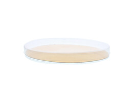 Cello oval box E        Z109
