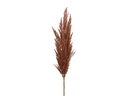 Pampas gras 92 cm bruin