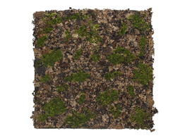  Moss  mat met gedroogd mos 50 x 50 cm