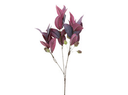 Eucalyptustak met peulen bordeaux 80cm