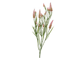  Trifolium  tak met roze bloemen 78cm