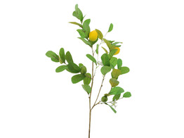  Lemons  branche de citron avec 3 citrons 95 cm