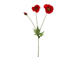  Poppy  klaproos tak met 3 bloemen 75 cm