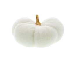 Pompoen  Wooly  deco wit