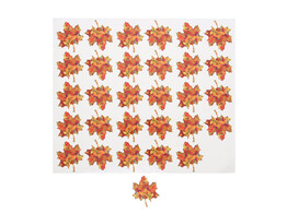 Autocollant brillant  Autumn fruit  feuille avec vert PM