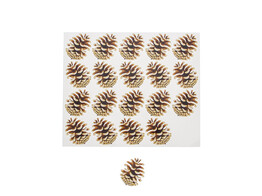 Autocollant brillant  Autumn fruit  pomme de pin PM