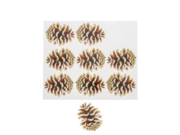 Autocollant brillant  Autumn fruit  pomme de pin GM