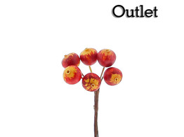 OTL Fruit stekelbes