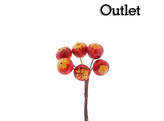 OTL Fruit stekelbes