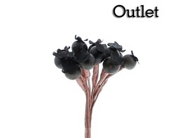 OTL Fruit bessen groen