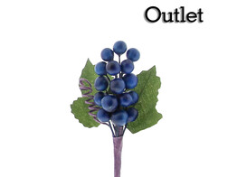 OTL Fruit 1850 raisins bleu fonce