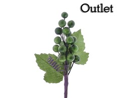 OTL Fruit 1850 druiventros groen