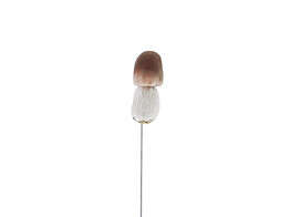 Champignon sur tige petit