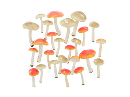 Champignons decoration