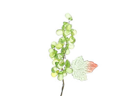 Grappe raisins de perles vert