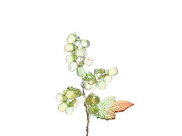 Grappe raisins de perles rouge/vert