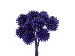 Hull purple