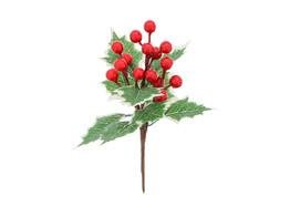 9 holly leaves with 15 red berries