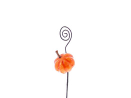 Citrouille avec stick orange