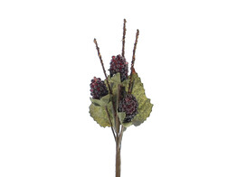 3 blackberries bordeaux