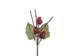 3 mures sauvage rouge