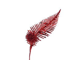 Feuille de fougere avec boule rouge