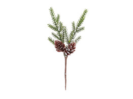 Branche de sapin avec 2 pommes de pin