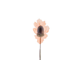 Feuille de chene avec 1 gland