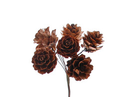 Pine cone SM brown