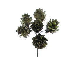Pine cone SM green
