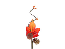 Picket pinecone   berry   sugared berry   branche