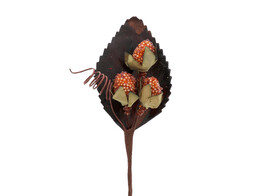 Wild strawberries