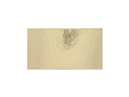 Goudkarton rechthoekig 81 x 150mm 750g