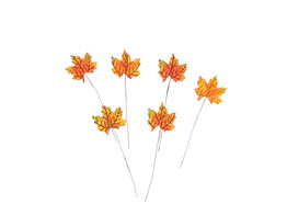 Herfstblad met warme tinten op steel  KM