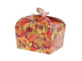 Doos vlindersluiting 125-150 gr.  Autumn fruit  groen