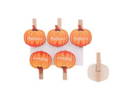 Courge d hiver pince orange