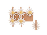  Sunny Daisy  flower peg