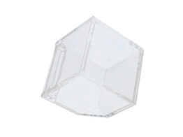 Plexi  Oblique  cube with lid