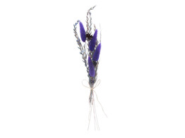 Trockenblumenstrau  30cm lila