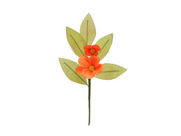 Fleur  Sherry  2 fleurs orange