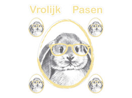Window sticker glossy  Bunny Genius  Vrolijk Pasen yellow