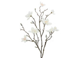  Magnolia -Zweig 85 cm wei 