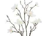  Magnolia -Zweig 85 cm wei 