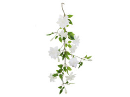 Clematis-Girlande wei  110 cm