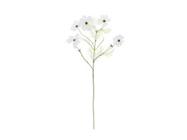  Cosmos -Zweig  75 cm wei 