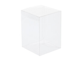 PET box 100 x 100 x 140 mm              Z129