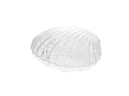 Plexi shell